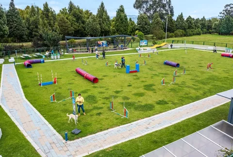 Instalaciones y circuito de agilidad del parque canino del Club Bellavista.