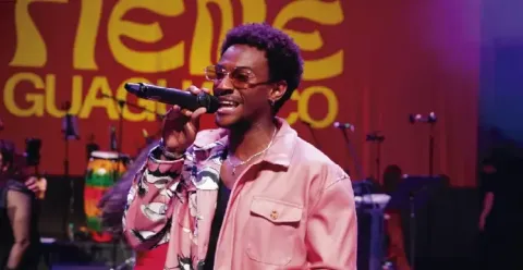 Cantante con chaqueta estampada rosada e gafas cantando con micrófono en el escenario.